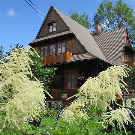 Willa Dewajtis Bed and Breakfast Zakopane Esterno foto