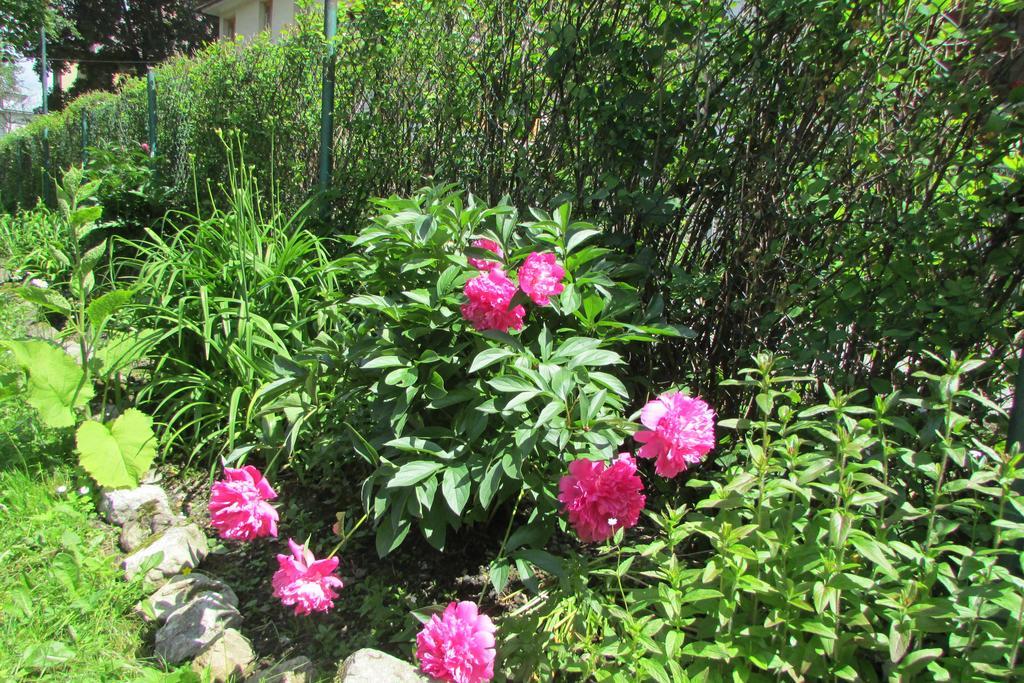 Willa Dewajtis Bed and Breakfast Zakopane Esterno foto
