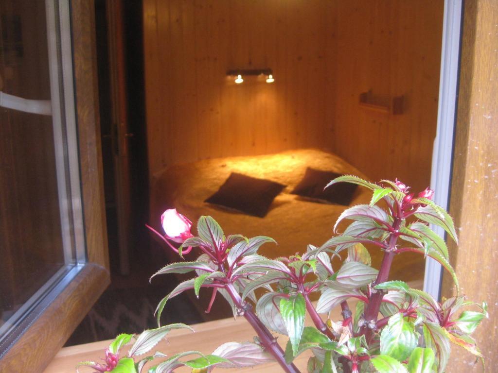 Willa Dewajtis Bed and Breakfast Zakopane Camera foto