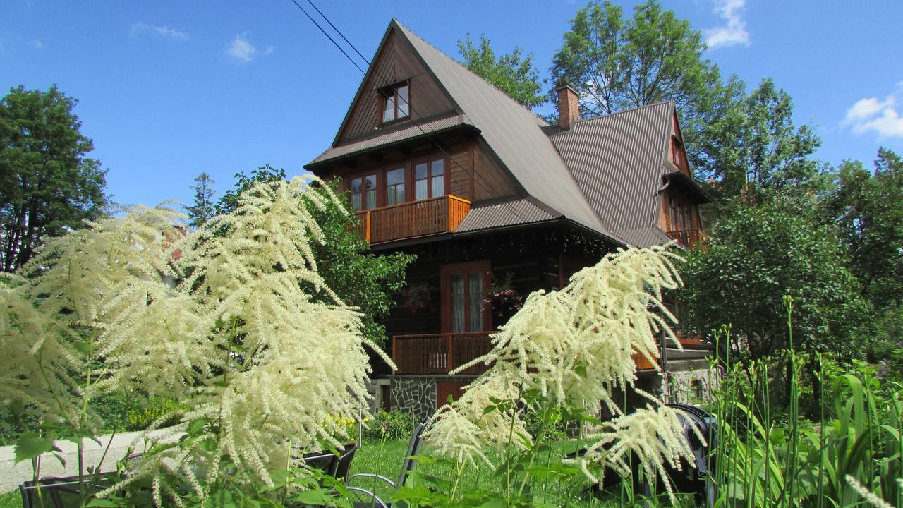 Willa Dewajtis Bed and Breakfast Zakopane Esterno foto
